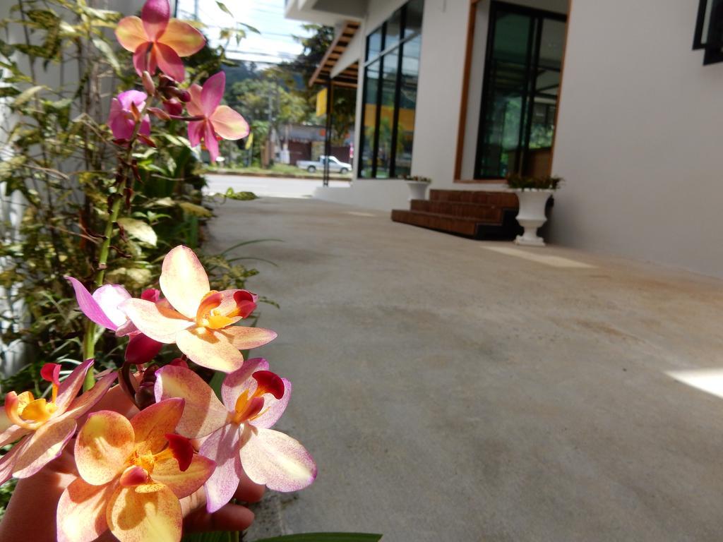 Wandee Bed & Breakfast Khao Lak Eksteriør billede