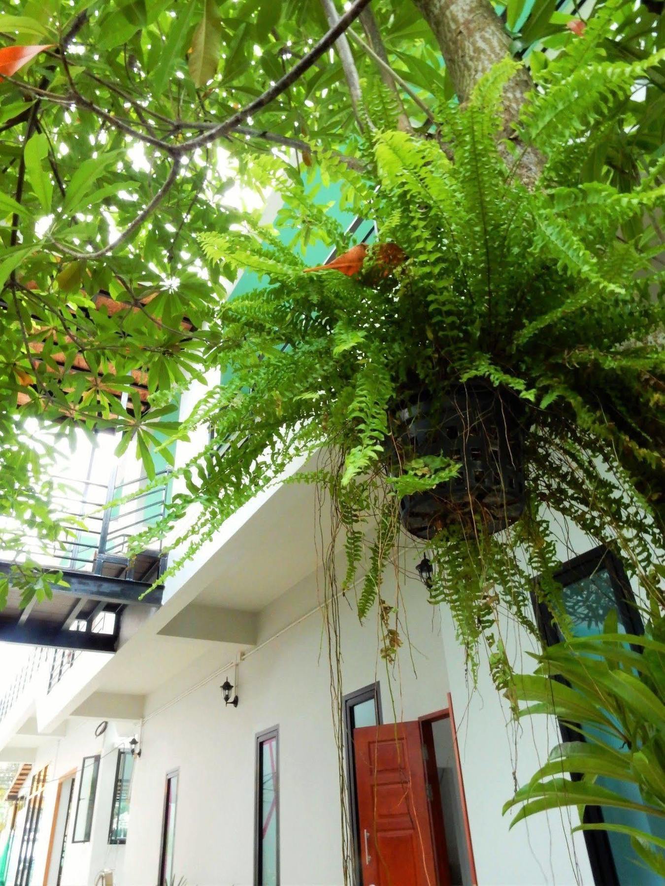 Wandee Bed & Breakfast Khao Lak Eksteriør billede